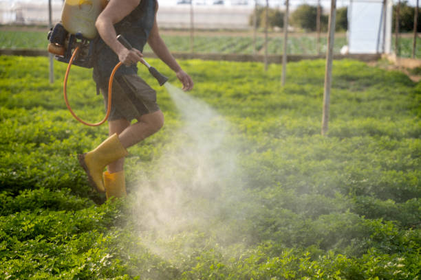 Best Exterminator Services  in Marlborough, MO