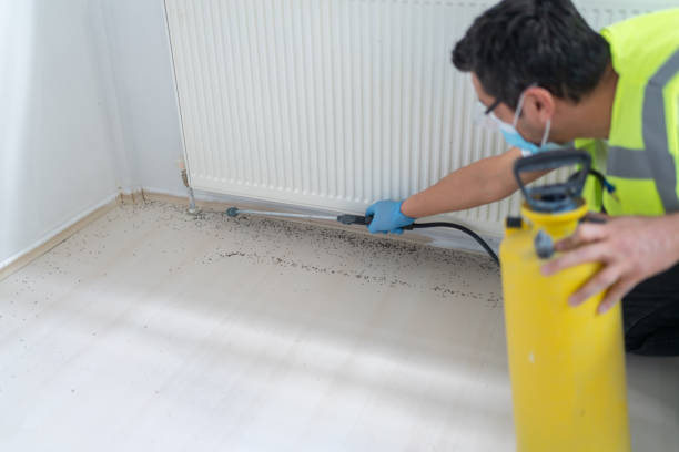 Best Affordable Pest Control Services  in Marlborough, MO
