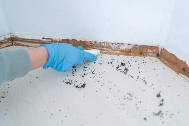 Best Pest Control for Businesses  in Marlborough, MO